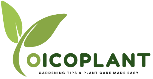 Ico Plant