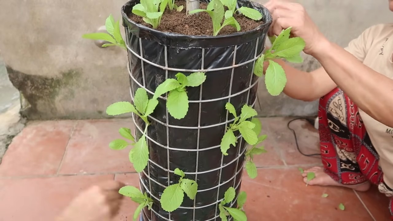 DIY Vertical Vegetable Garden