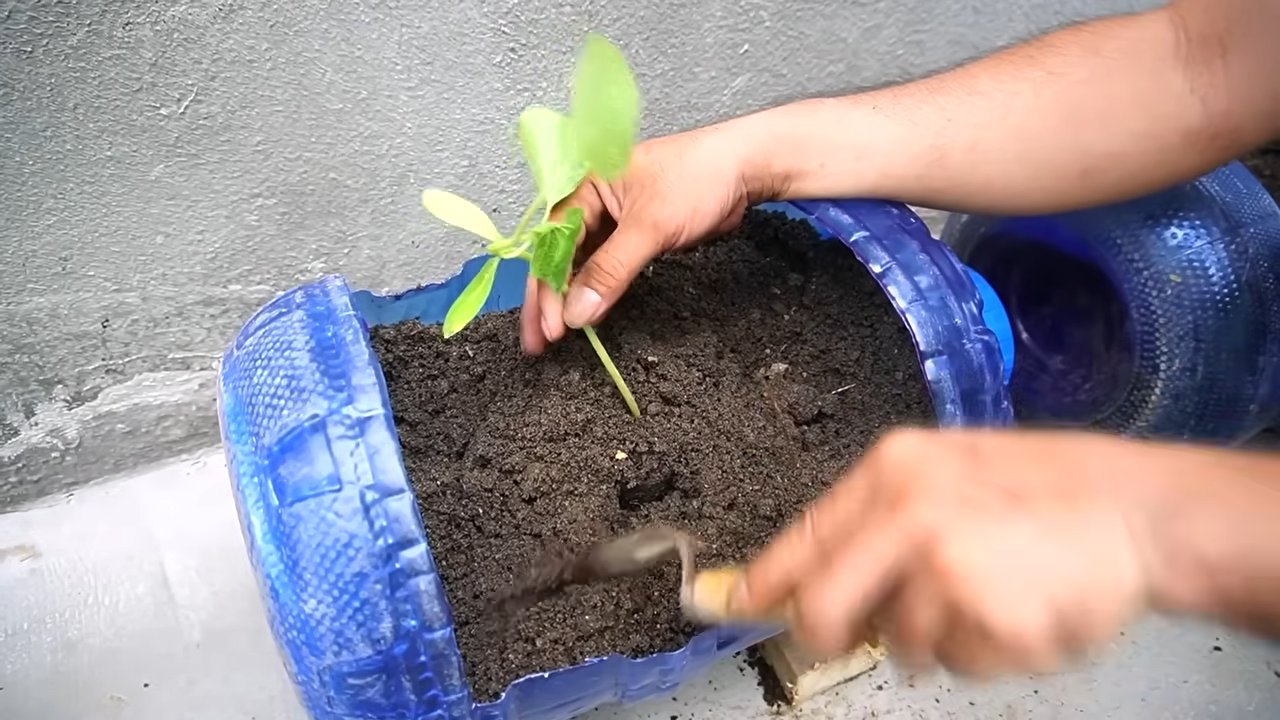 DIY container pumpkins