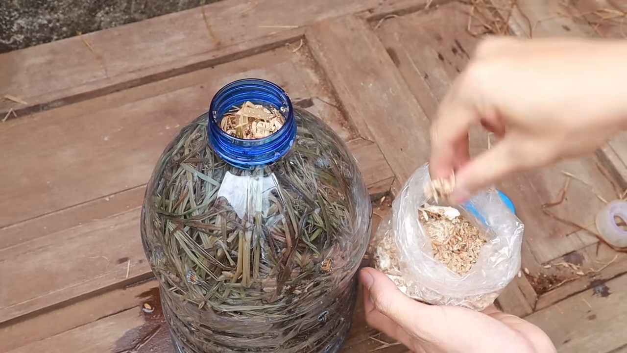 Mushroom Farming Recycled Bottles