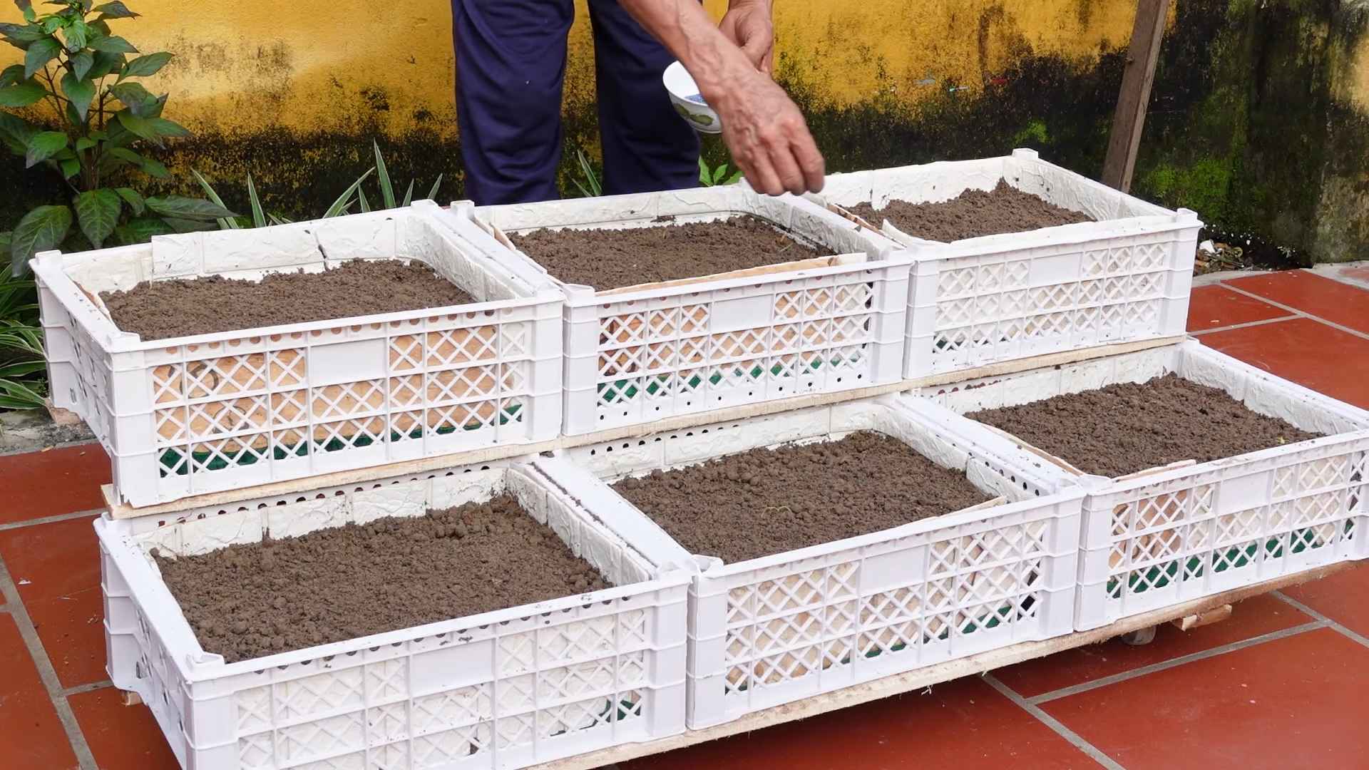 Small space vegetable garden