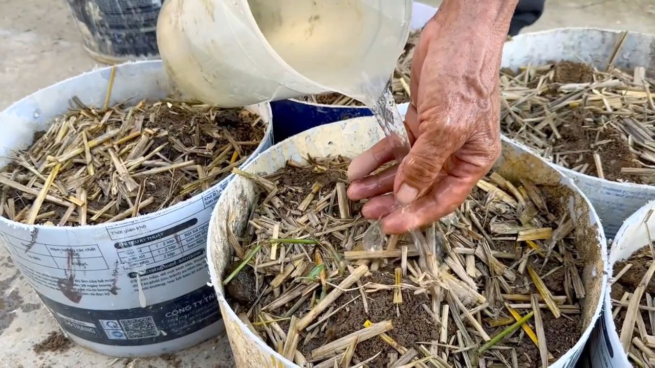 Potato Growing Hack