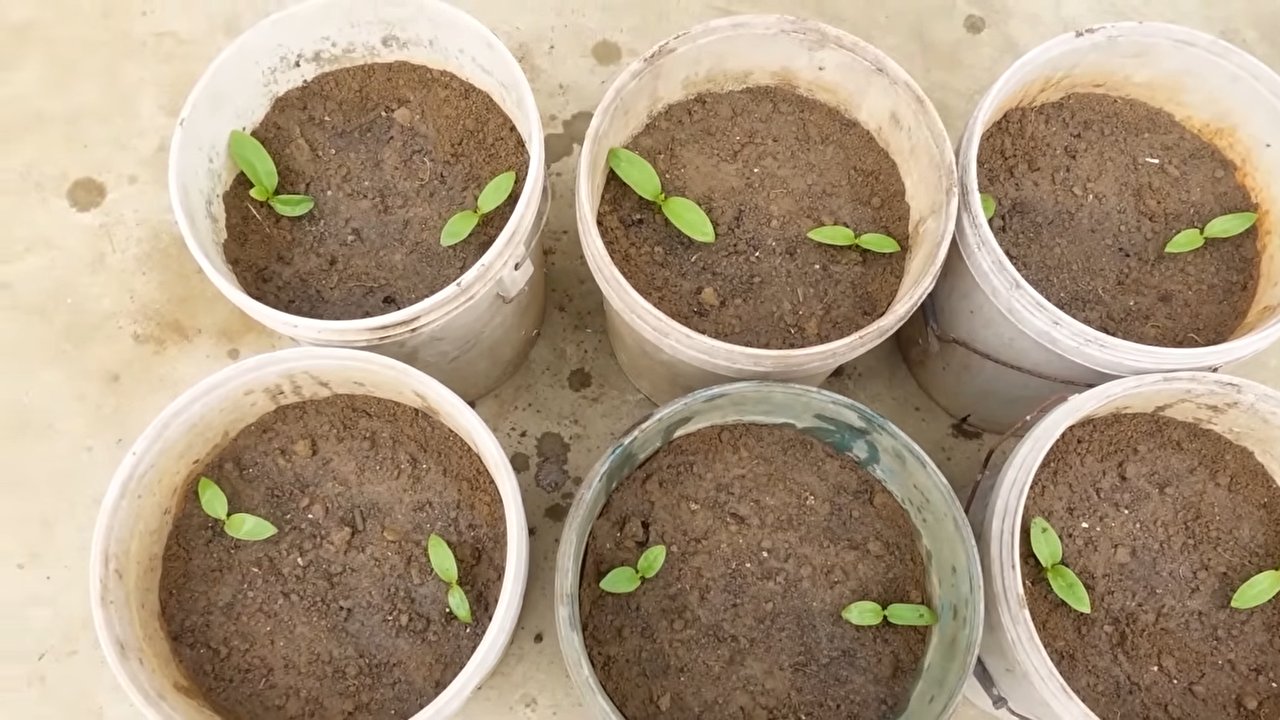 DIY Vegetable Tower
