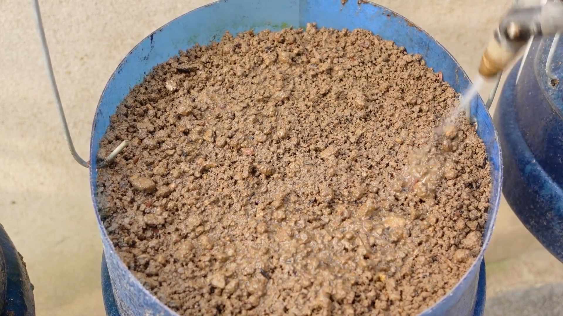 Easy vegetables to grow