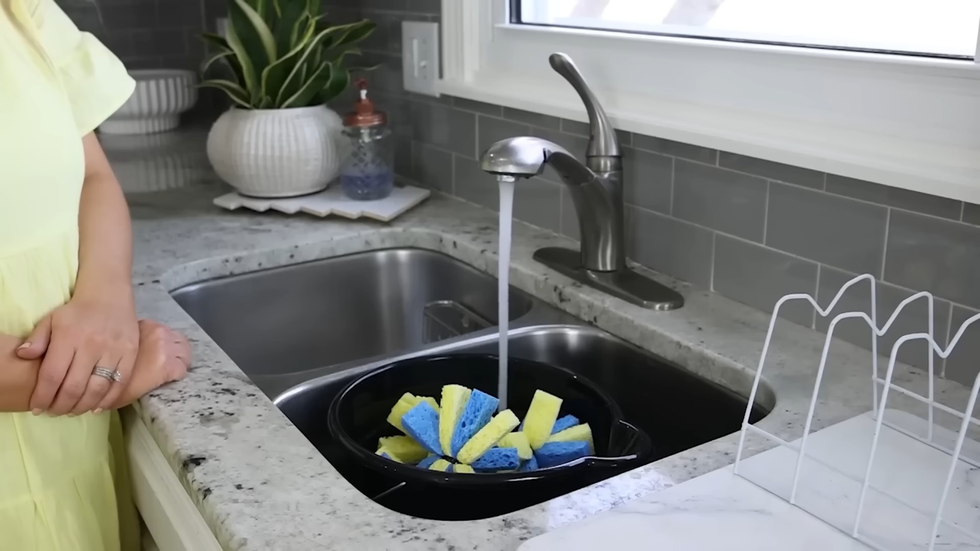 Grow Lettuce at Home