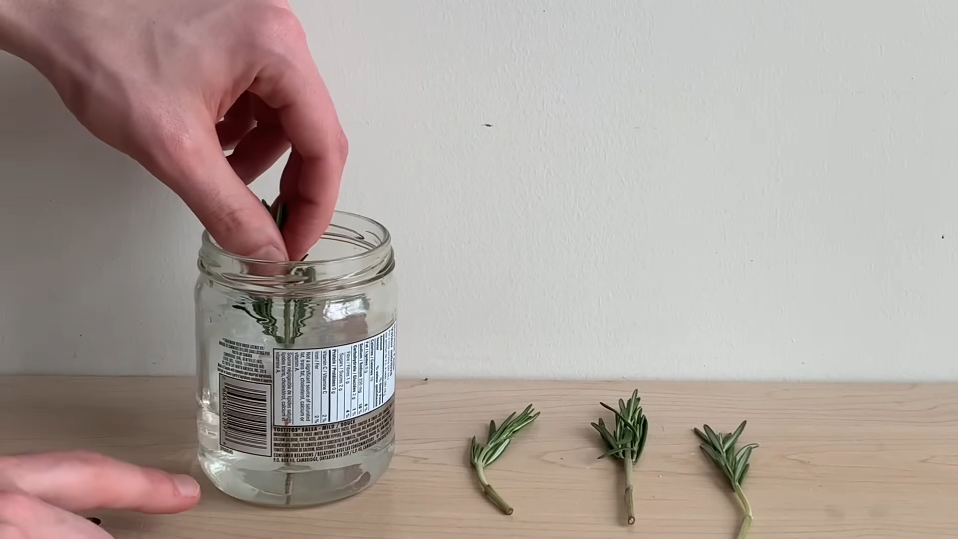 Grow Rosemary Kitchen Garden