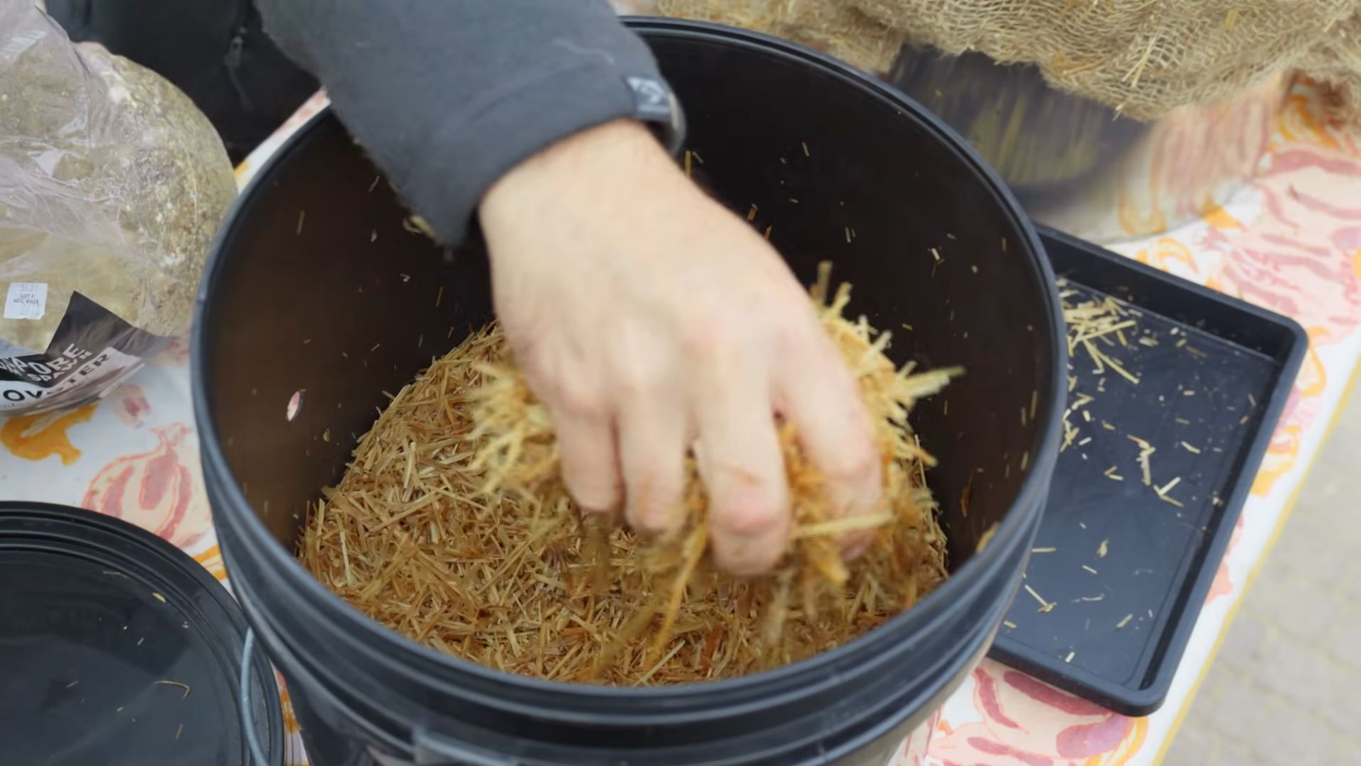 Mushroom Bucket Growing DIY