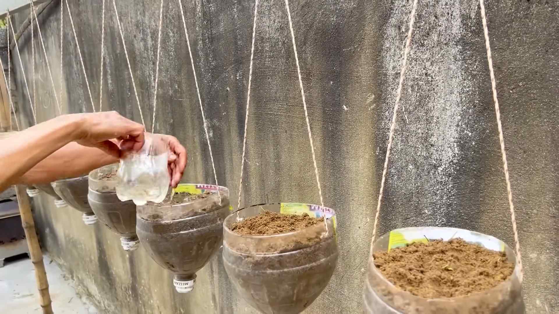 Grow Bigger Melons