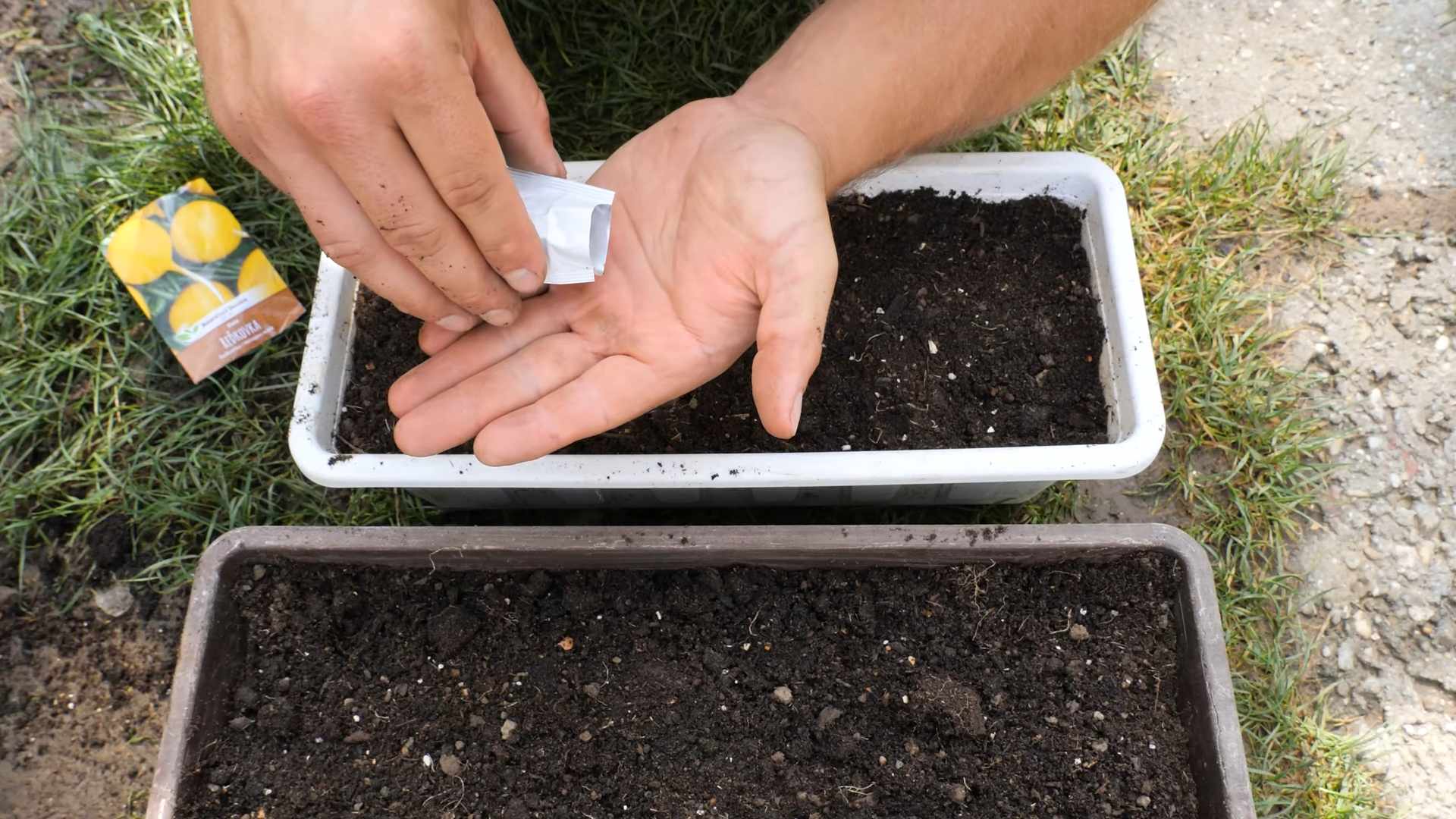 Spring Radish Gardening